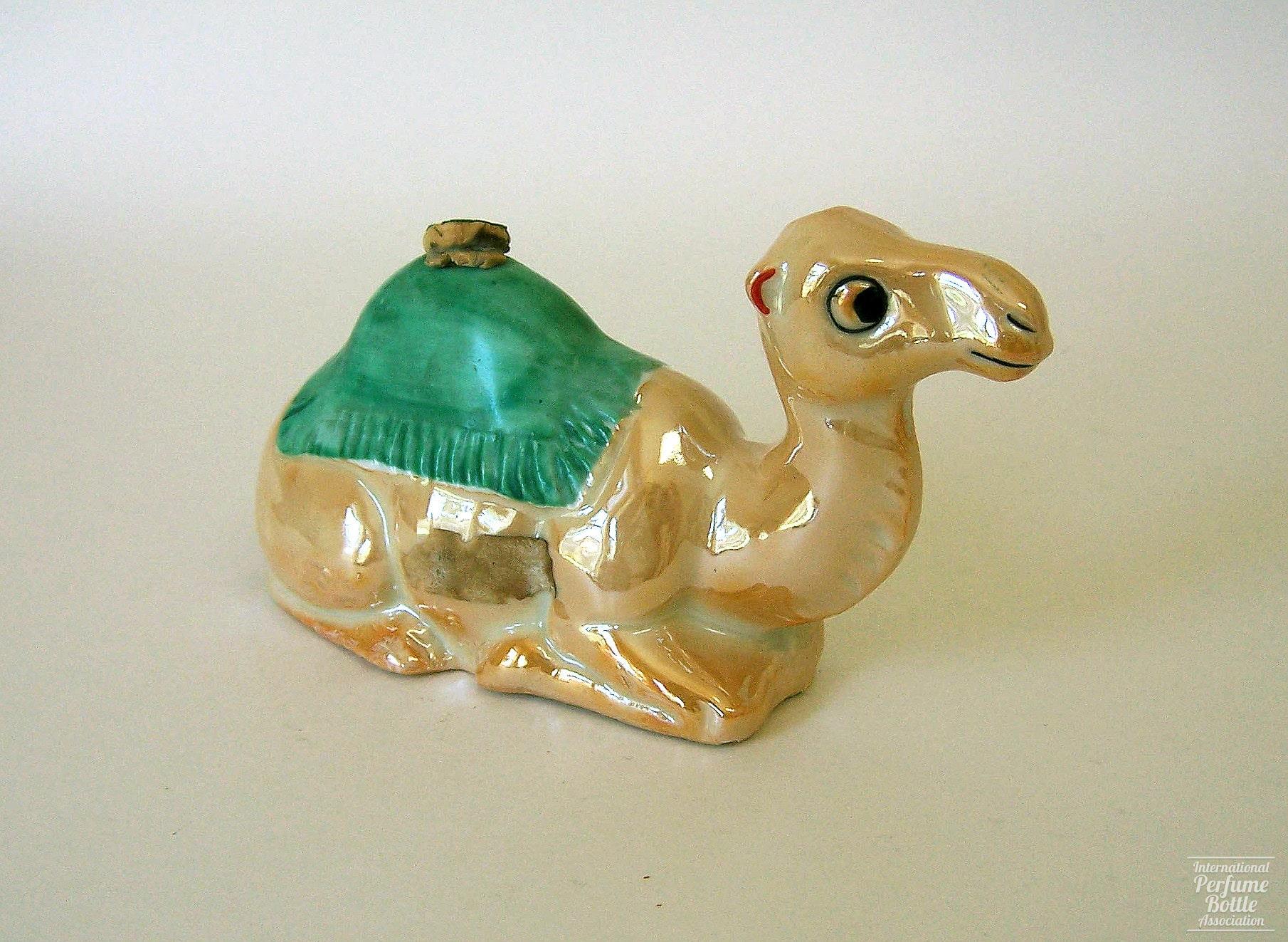 Kneeling Camel With Green Blanket