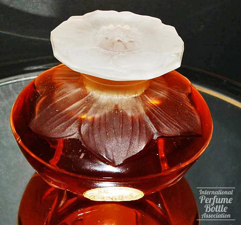 "Le Narcisse" de Caron
