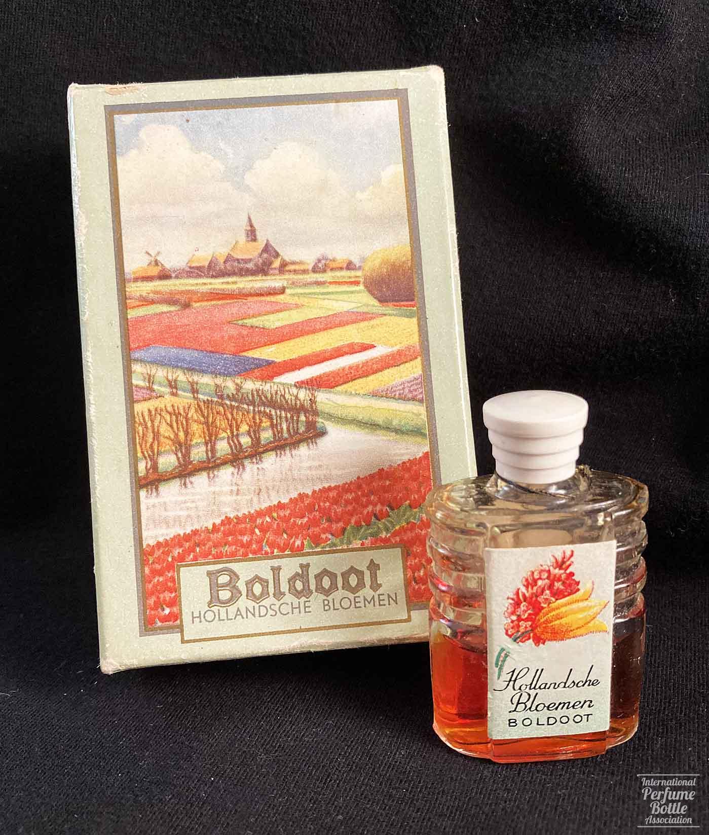 "Hollandsche Bloemen" by Boldoot