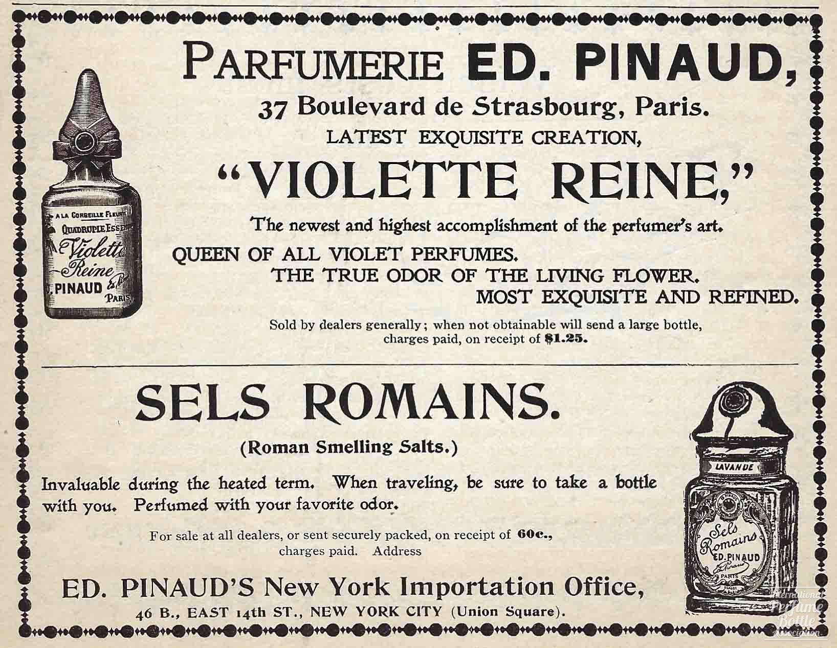 "Violette Reine" by Pinaud Advertisement - 1893