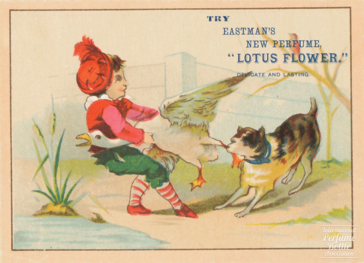 "Lotus Flower" by Eastman Trade Card