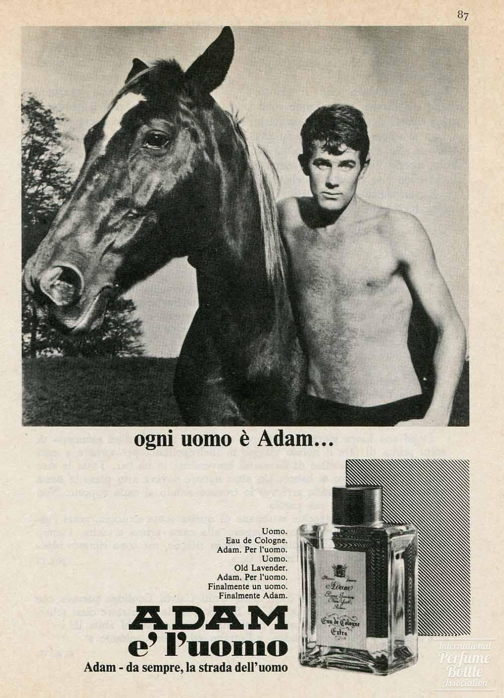 "Adam" Cologne Advertisement - 1968
