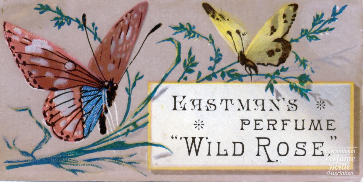 "Wild Rose" Trade Card by Eastman Brothers
