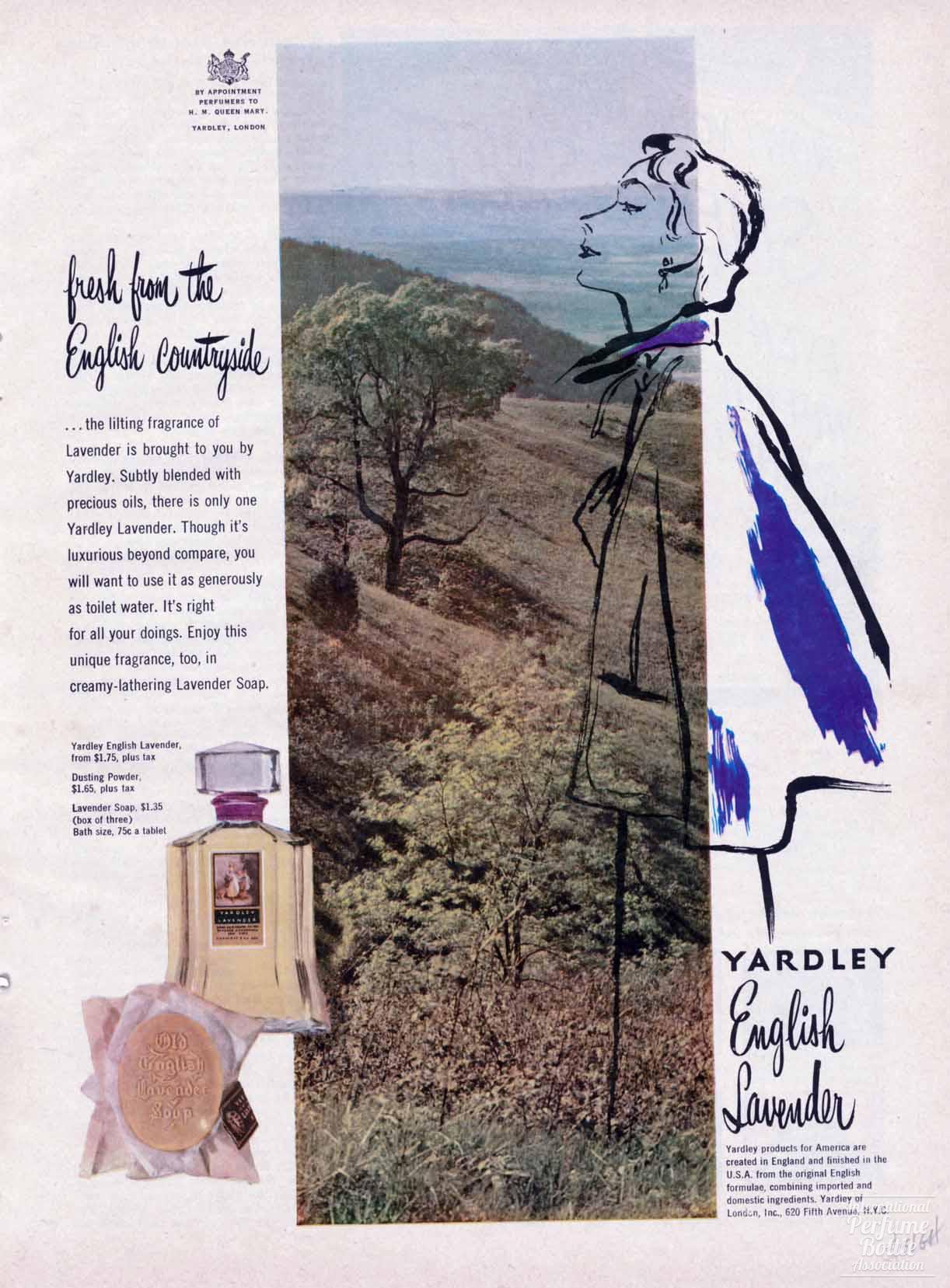 "Old English Lavender" by Yardley Advertisement - 1951