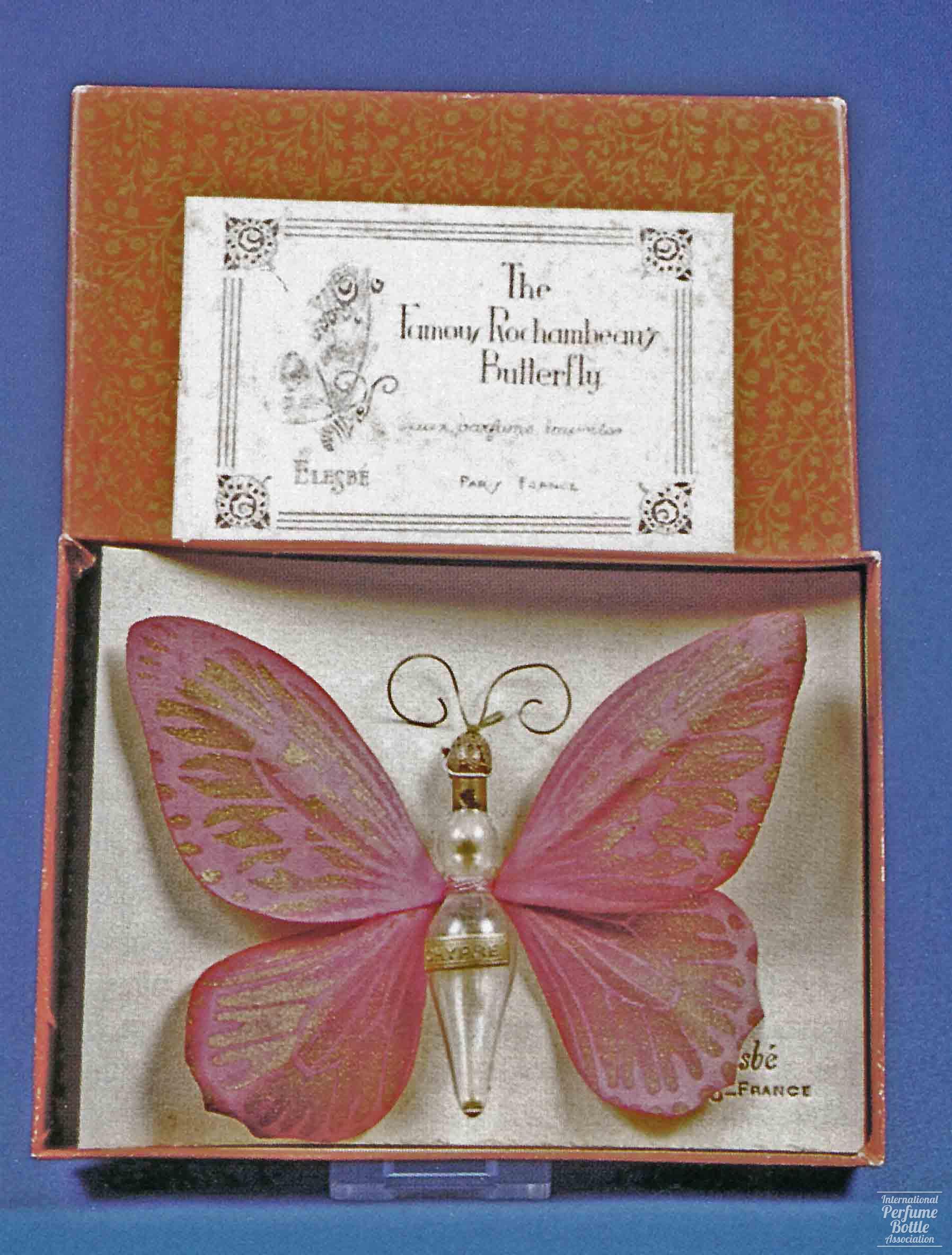 "Chypre" Butterfly Presentation by Elesbé - Rochambeau