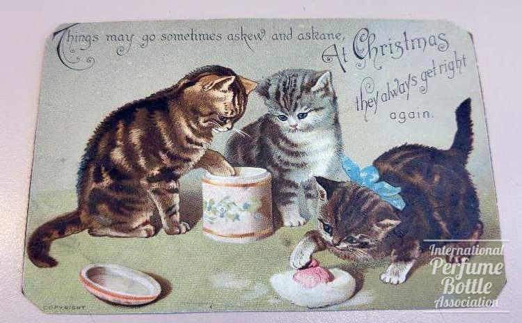 Kittens in the Powder Post Card