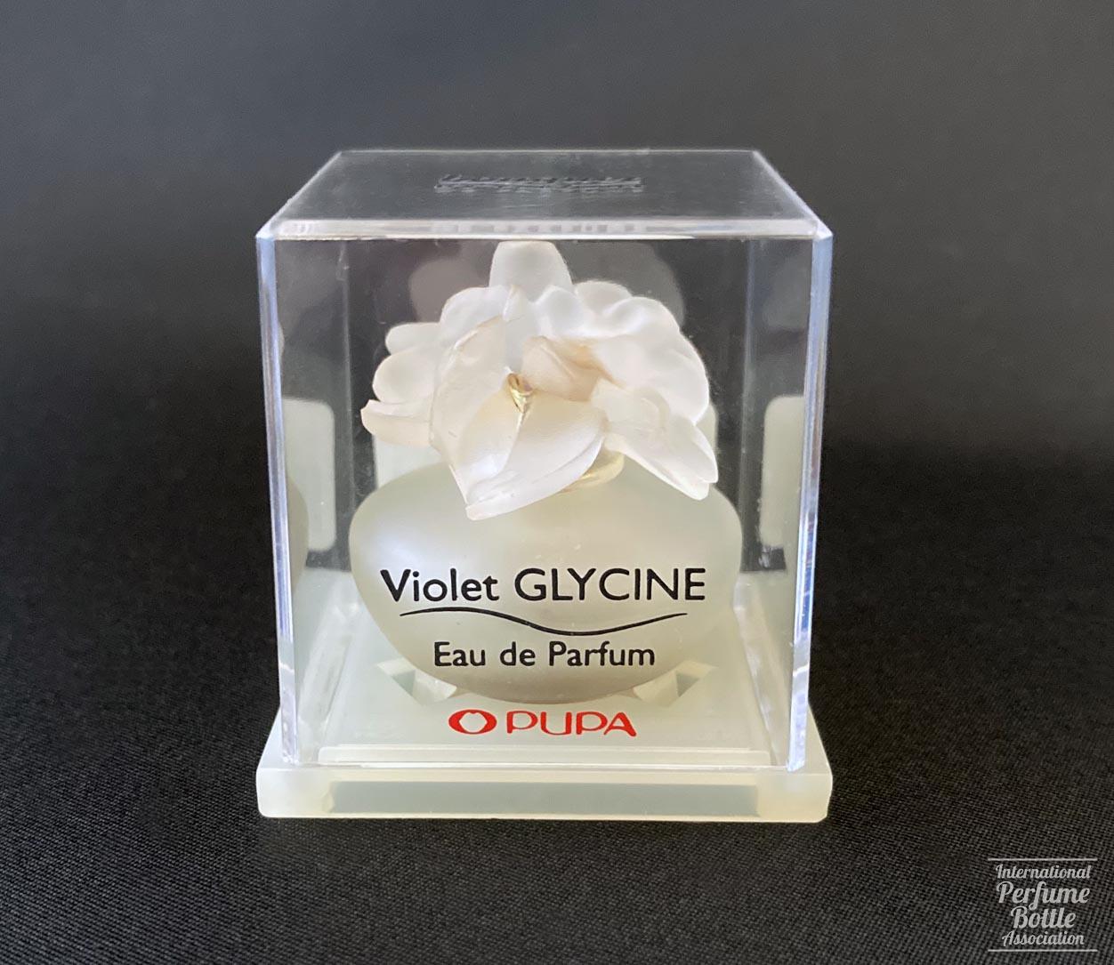 "Violet Glycine" Mini by Pupa