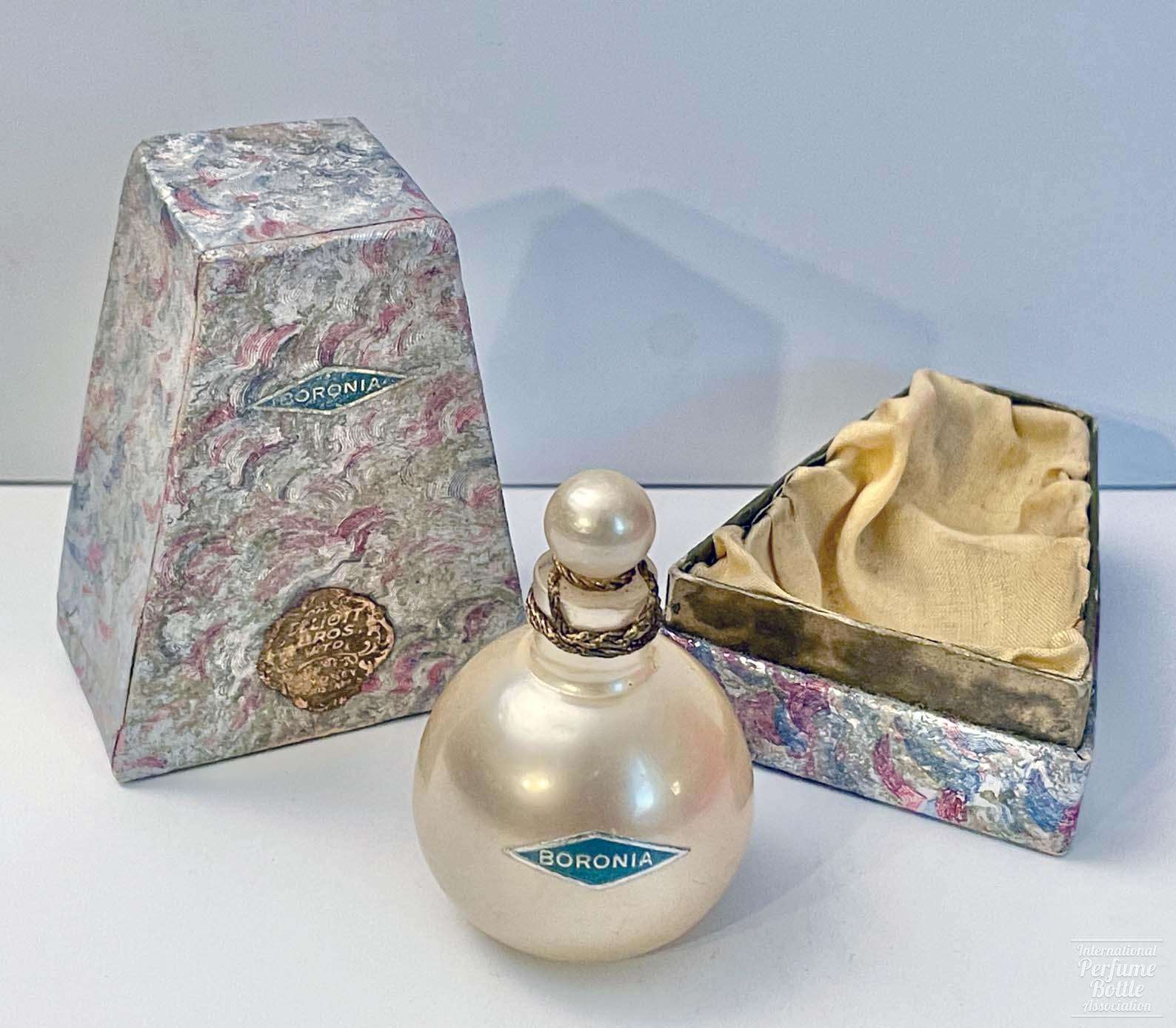 "Boronia" by Elliott Brothers