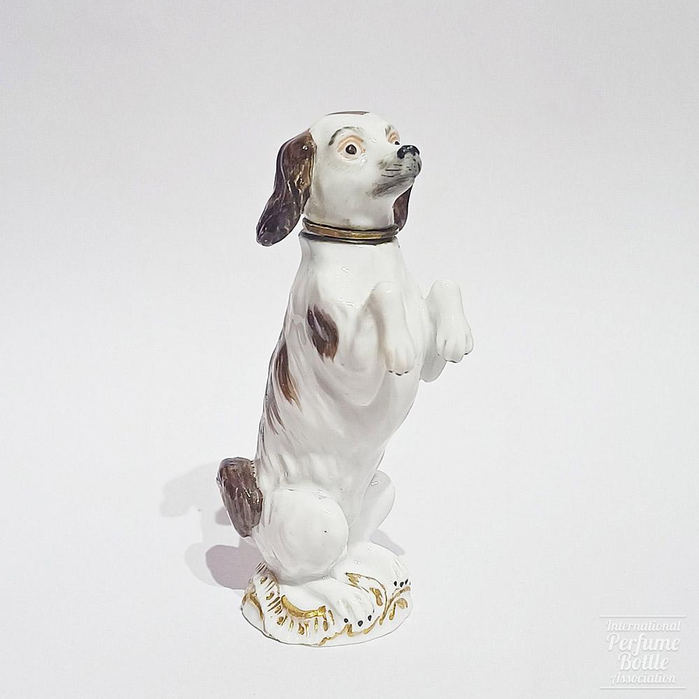 Bolognese Dog by Meissen