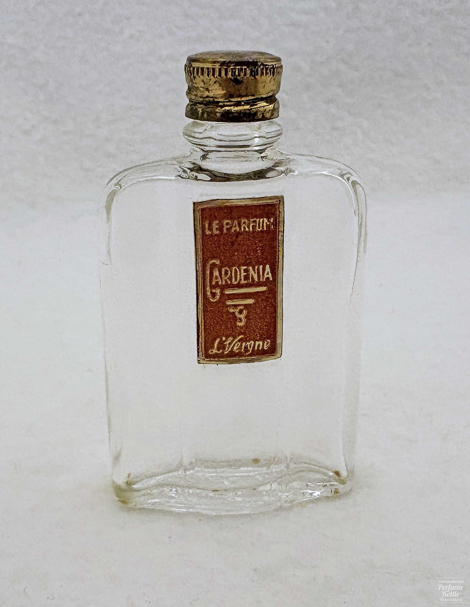 "Gardenia" by L'Vergne
