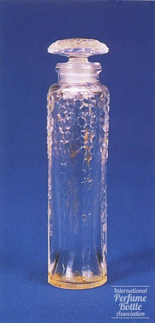 "Chypre" by Forvil